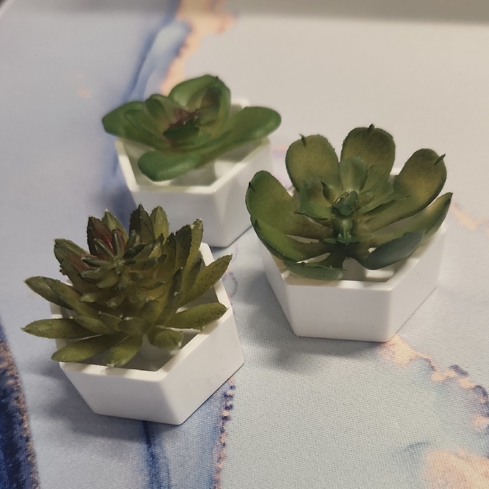 Set of Three Mini Succulent Planter Magnets FREE w/ Purchase of >$15 Bundle